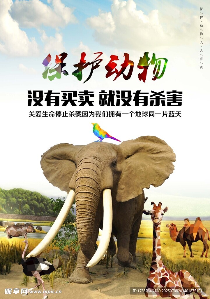 保护动物