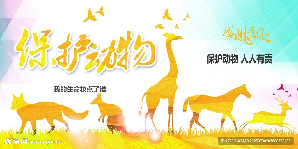 保护动物海报宣传图