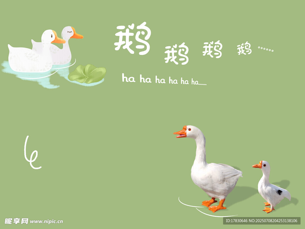 可爱鹅群在绿色背景中