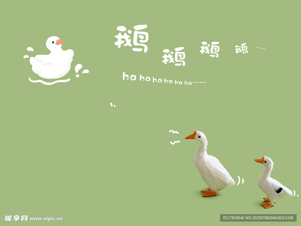 绿背景上的可爱白鹅