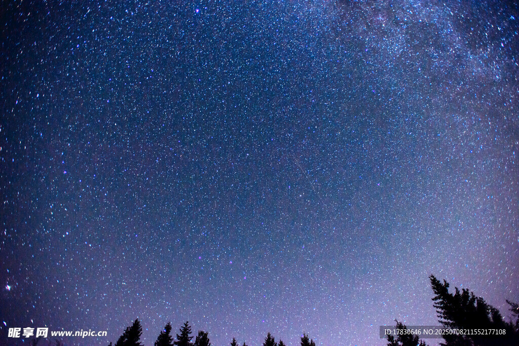 夜空下的森林与璀璨星河