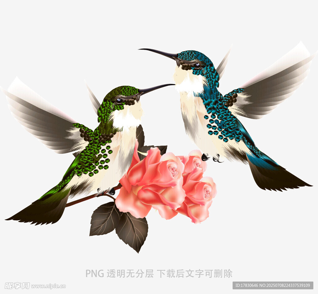 蜂鸟与花的灵动瞬间