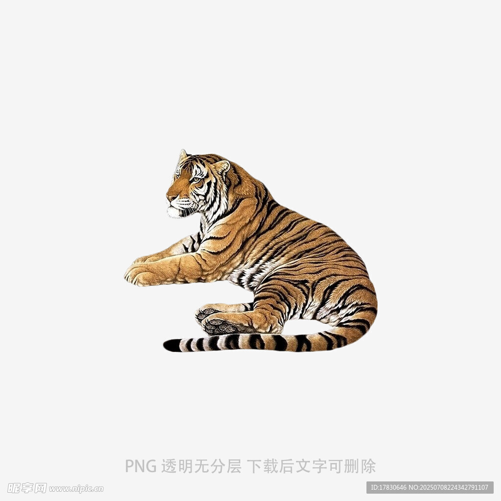 坐姿老虎插画