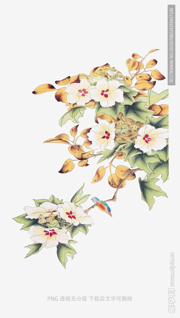 中式花卉水彩画