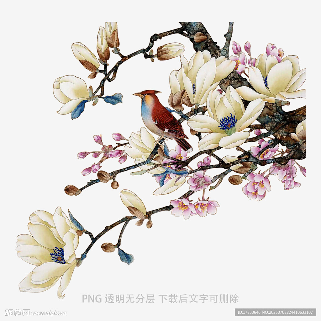 枝头花鸟图