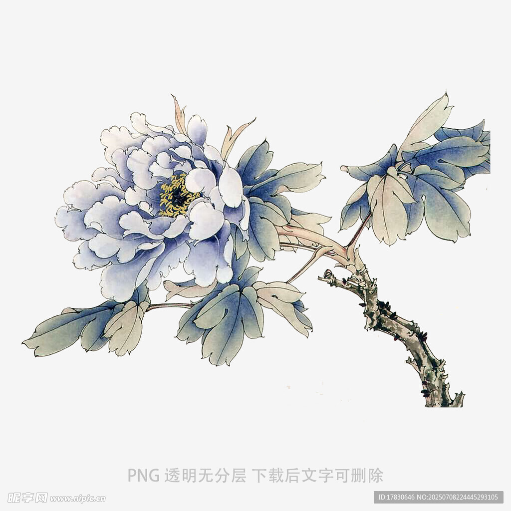 蓝白牡丹花枝图