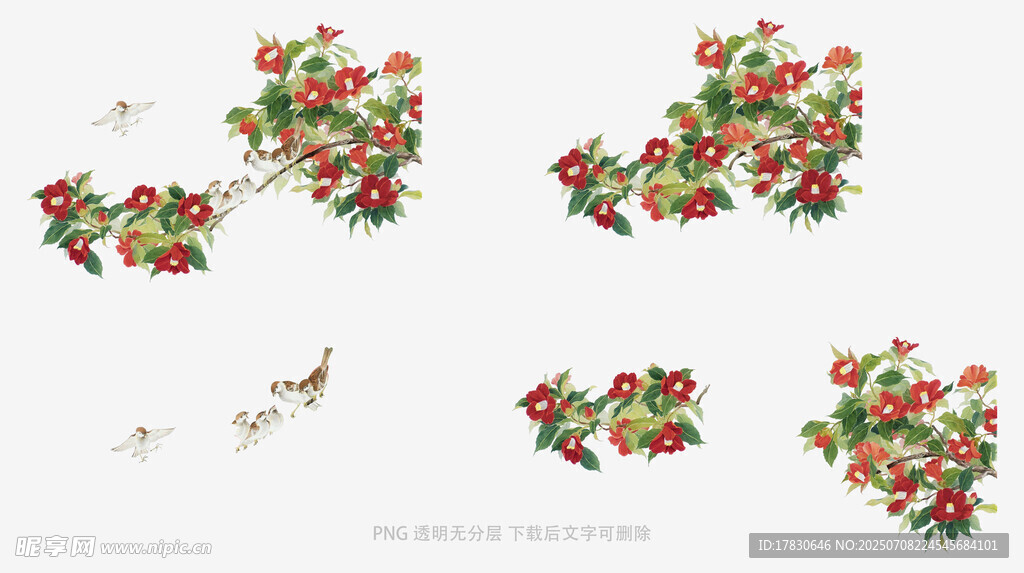 手绘花卉图案设计元素