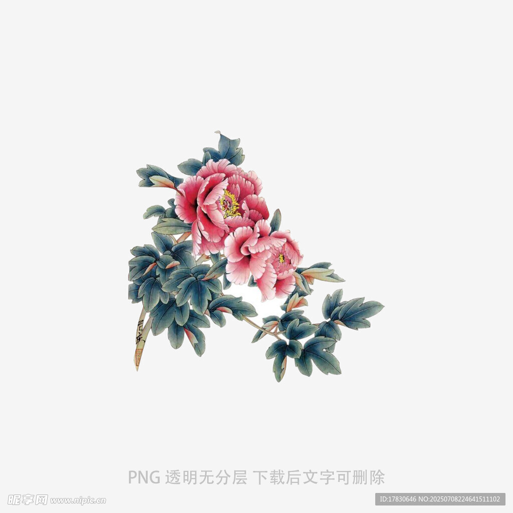 手绘牡丹花卉图案