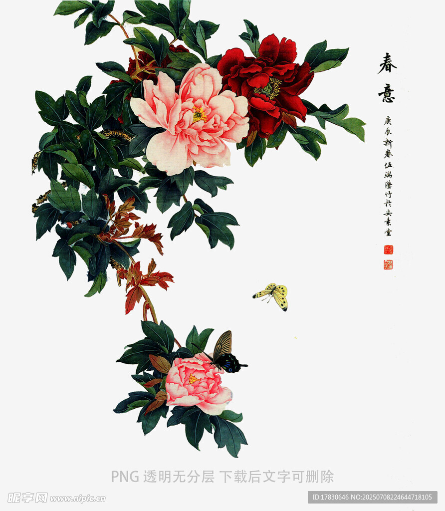 国画牡丹花卉图
