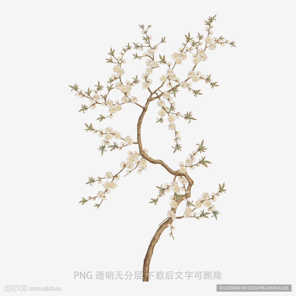 简约风开花树木插画