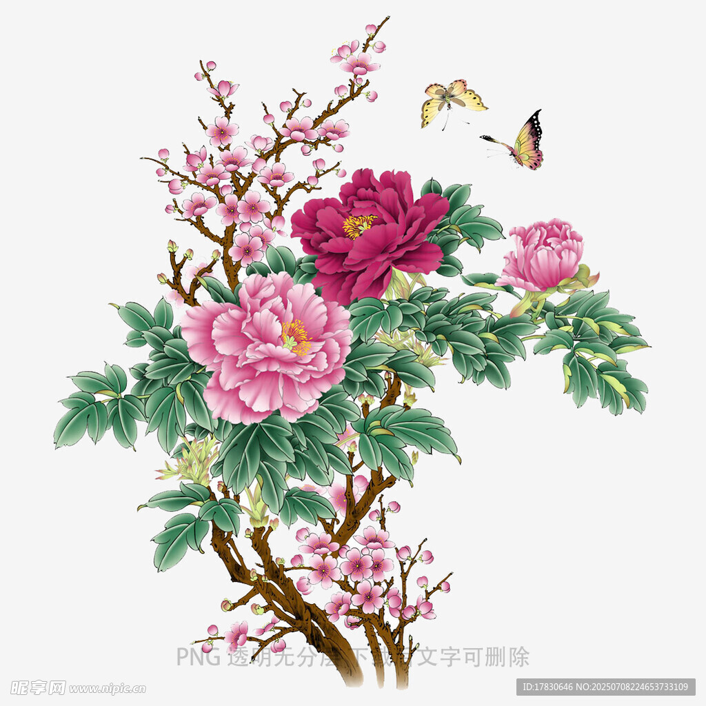 牡丹繁花间双蝶飞舞