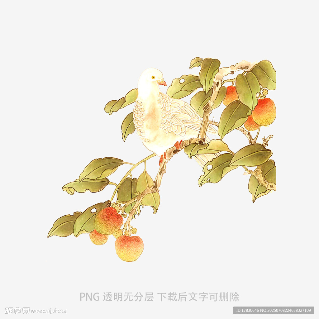 枝头硕果与繁花
