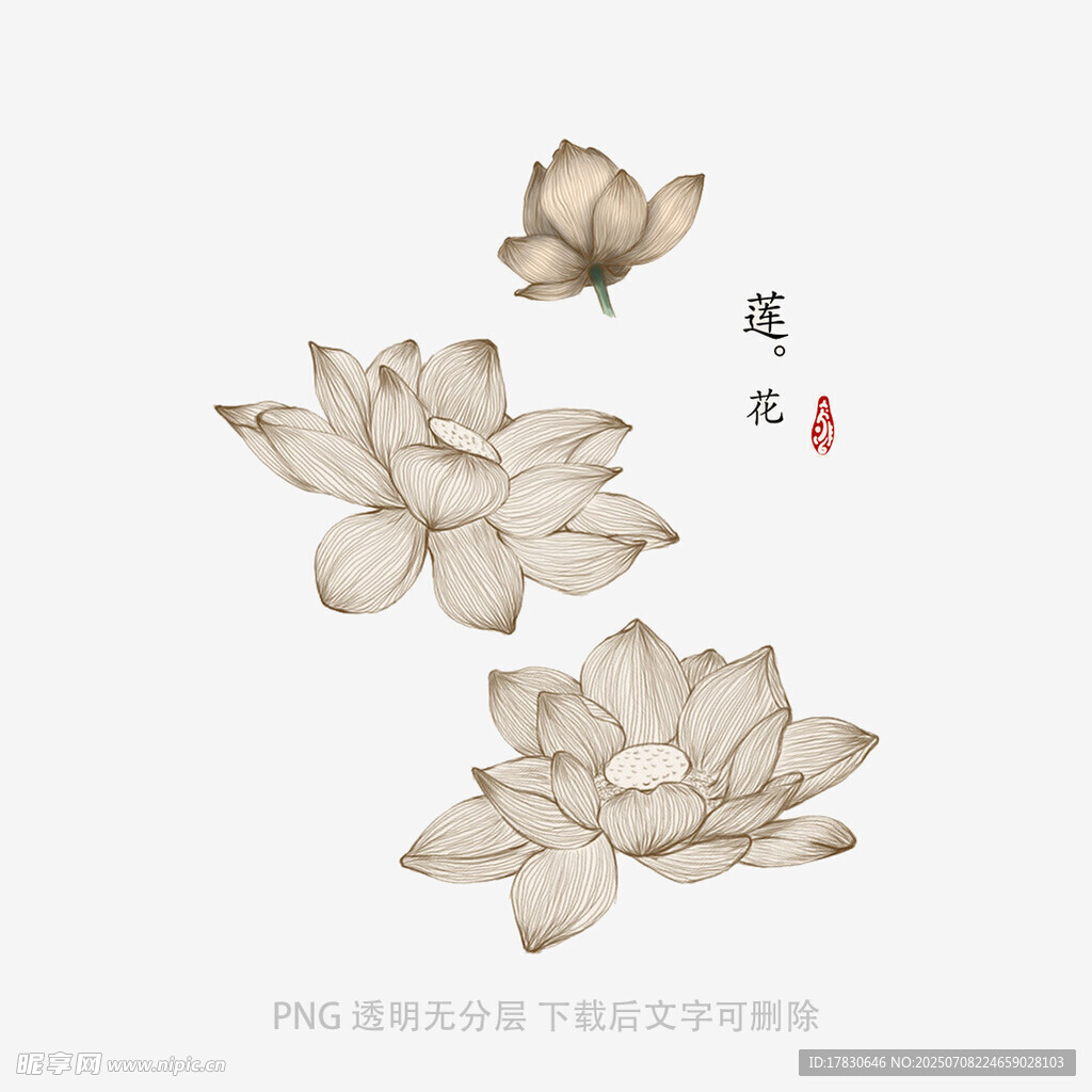 水墨荷花与蝶中式插画