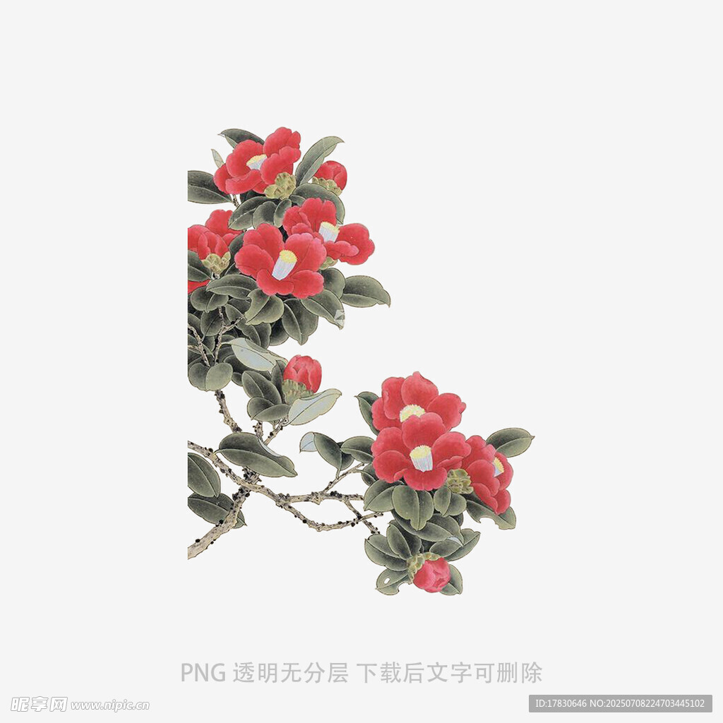 手绘红色花卉图案
