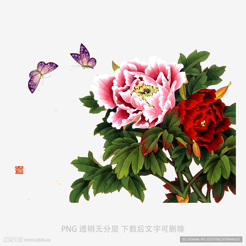 牡丹绽放伴蝶舞