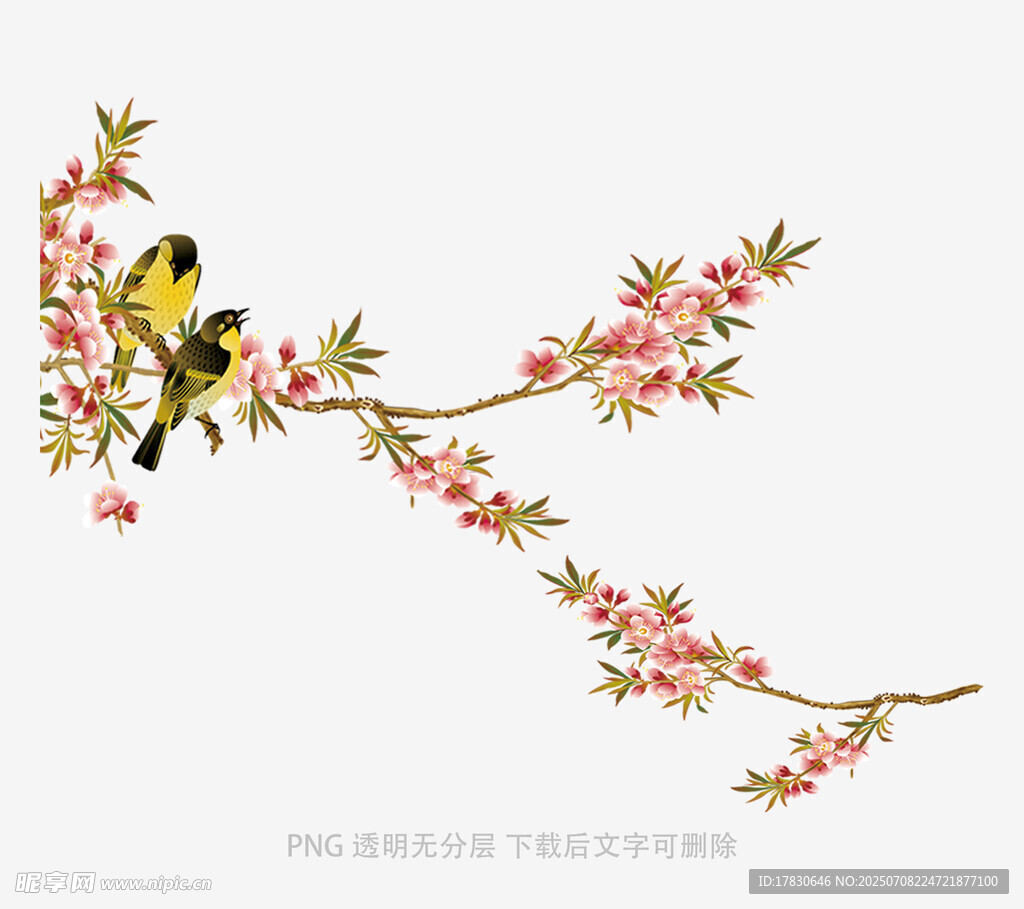 枝头双鸟伴繁花
