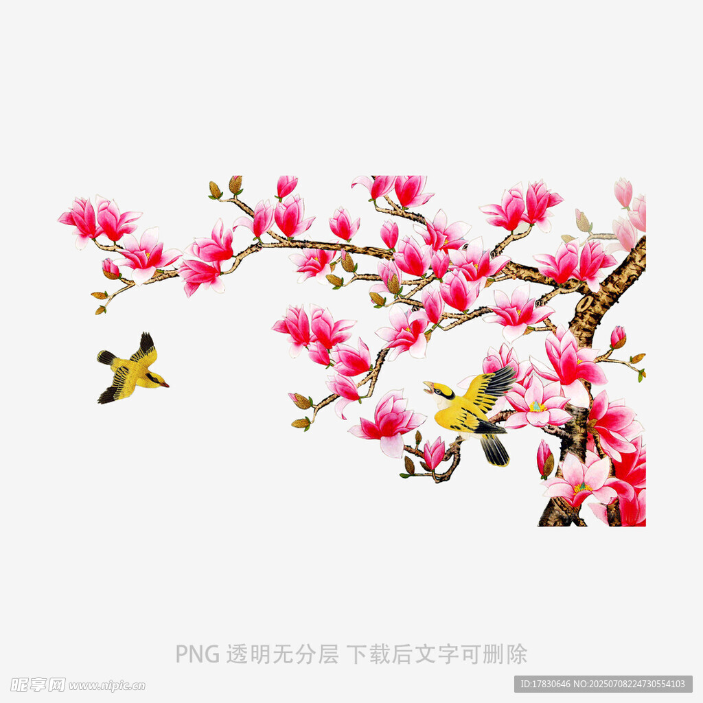 枝头繁花伴飞鸟