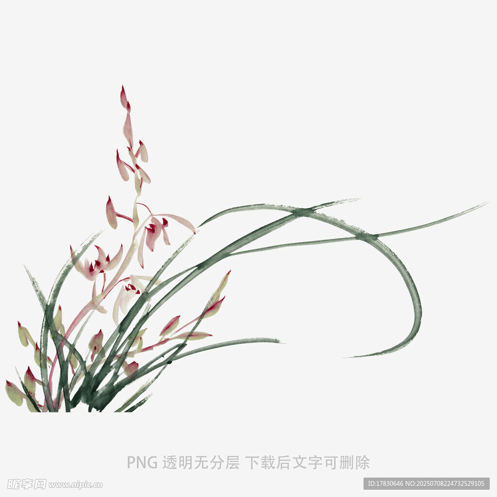 水墨风兰草花卉图