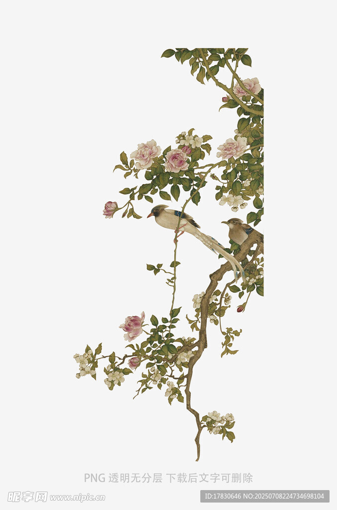 复古风花鸟藤蔓插画