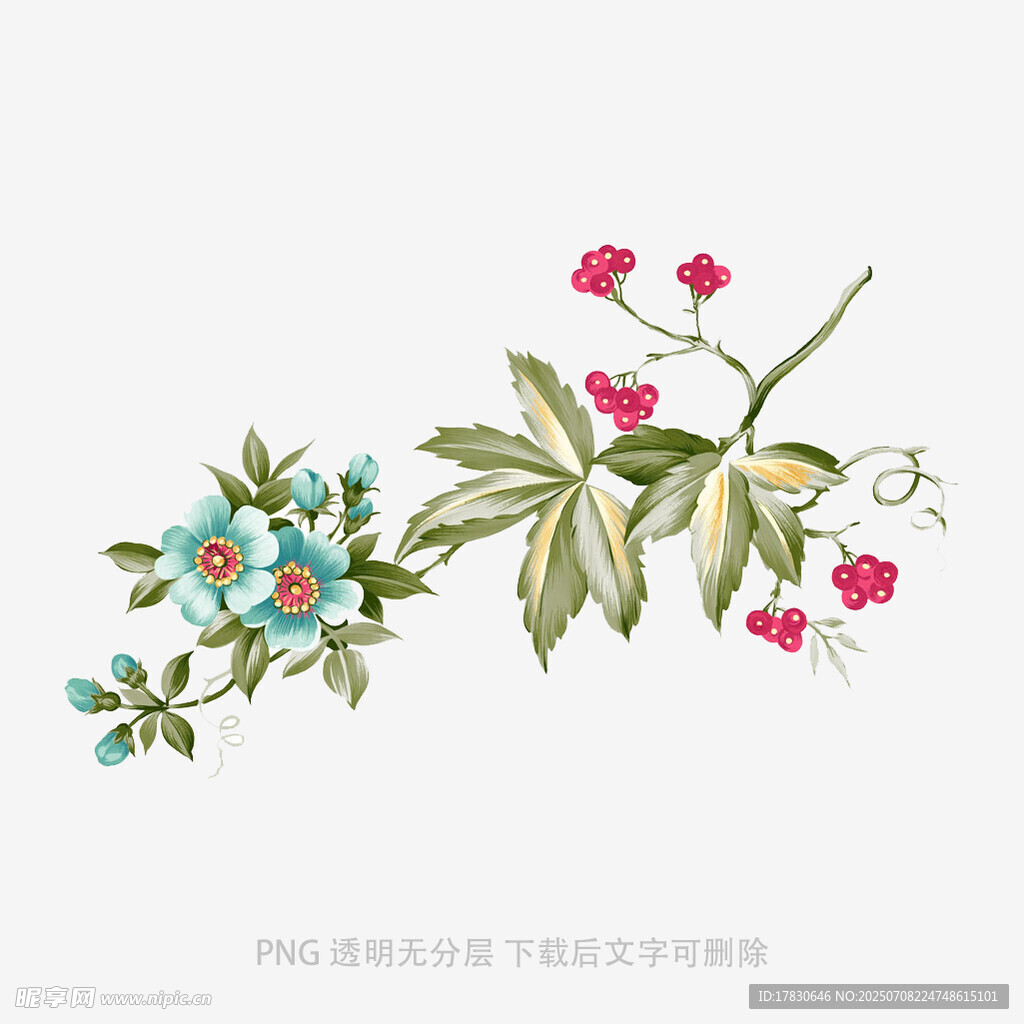 手绘花卉枝叶图