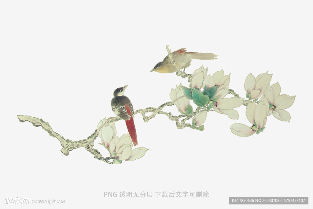 枝头双鸟图
