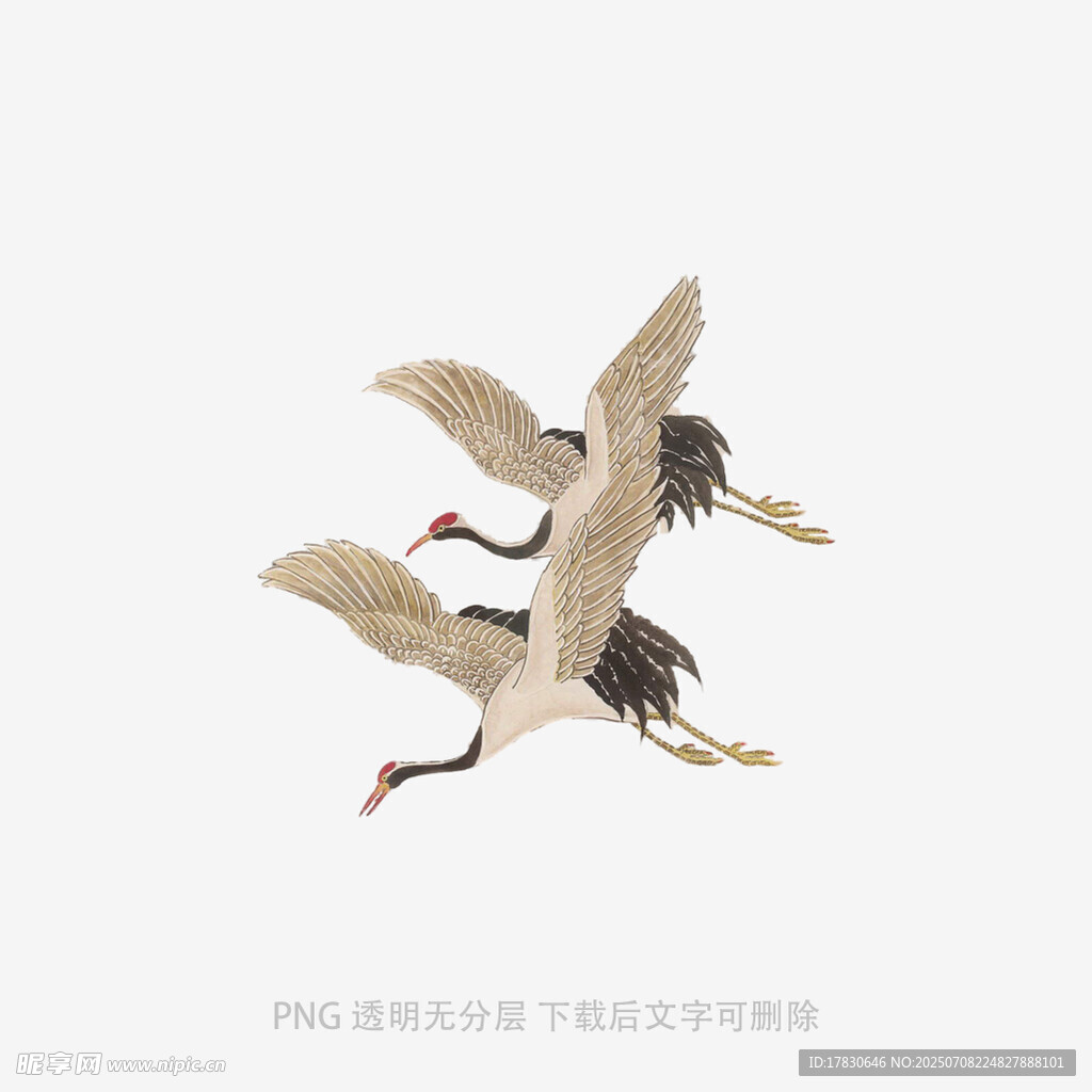 双鹤展翅飞翔