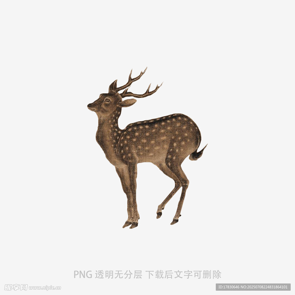 复古风斑点鹿插画