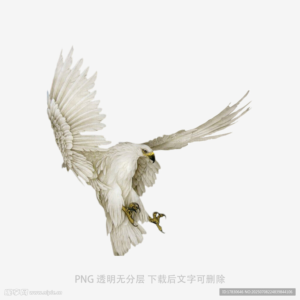 展翅翱翔的白色猫头鹰