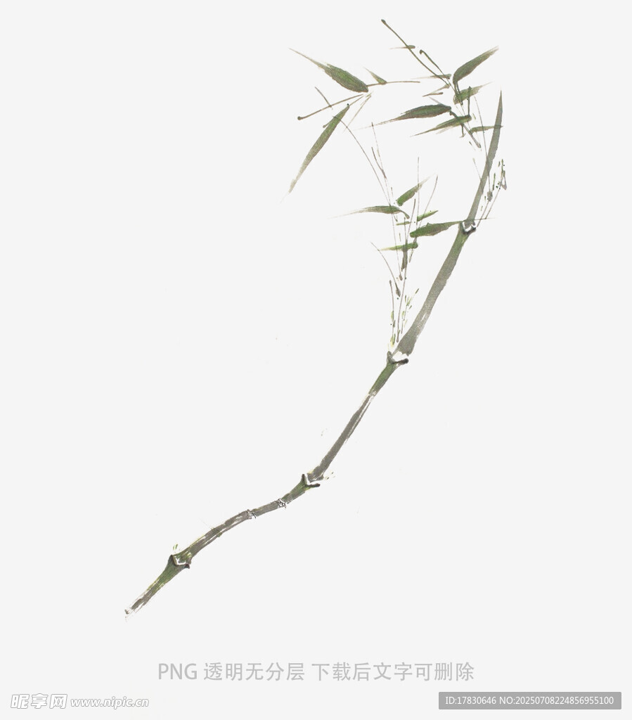 一枝翠竹