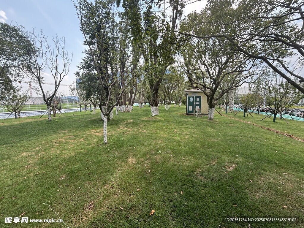 绿意盎然的户外草地风景