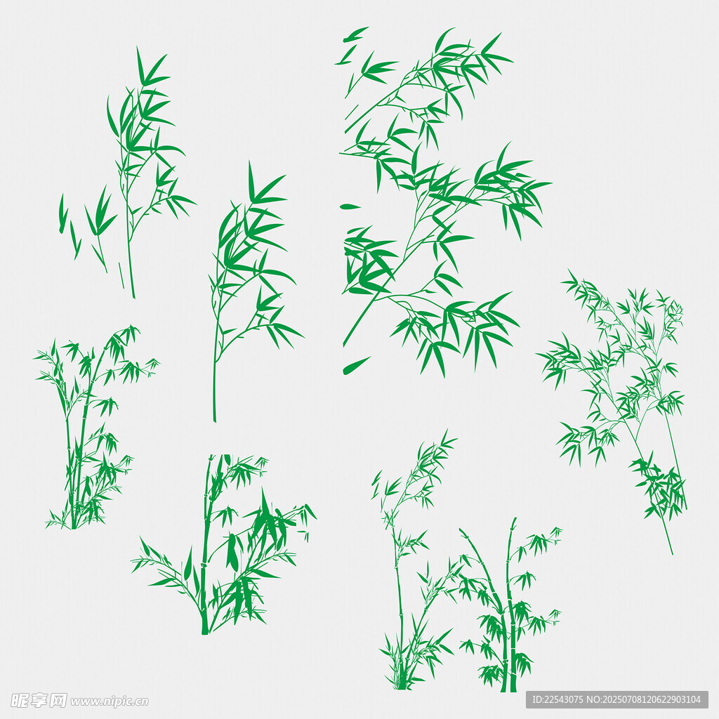 竹子 手绘