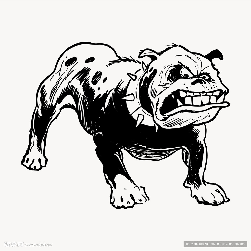 斗牛犬