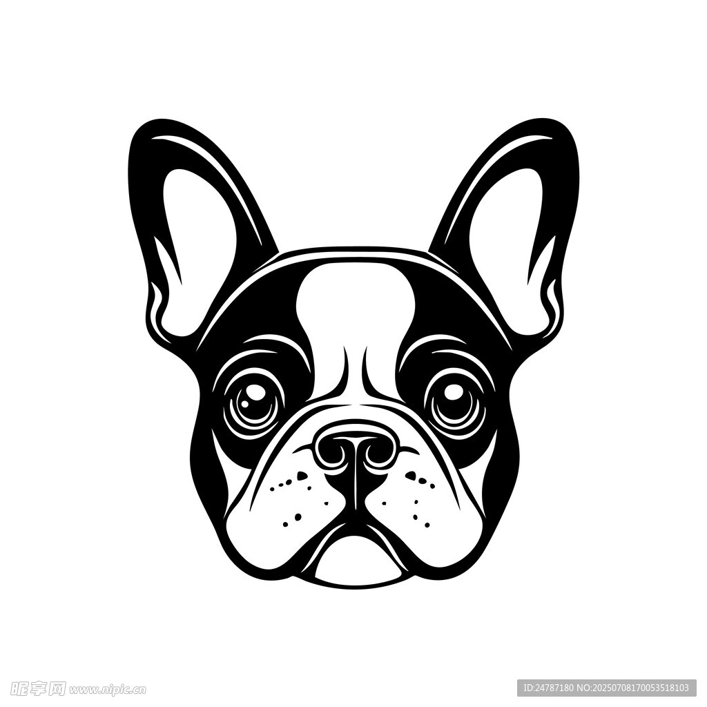 斗牛犬