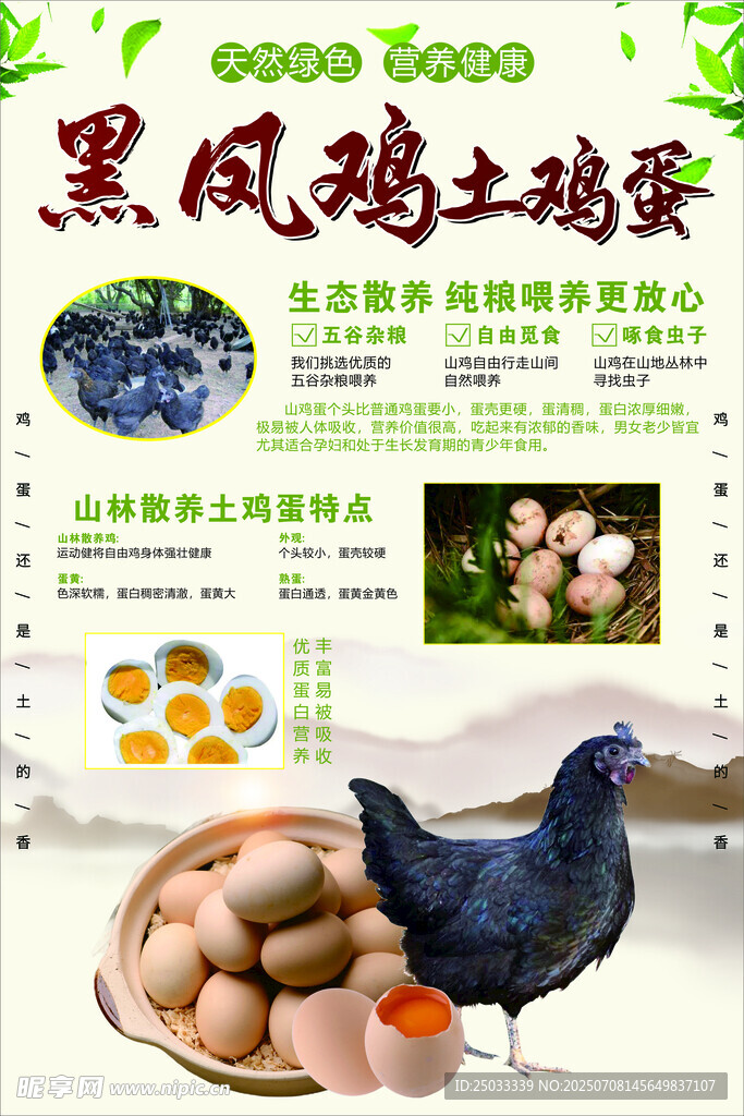土鸡蛋海报