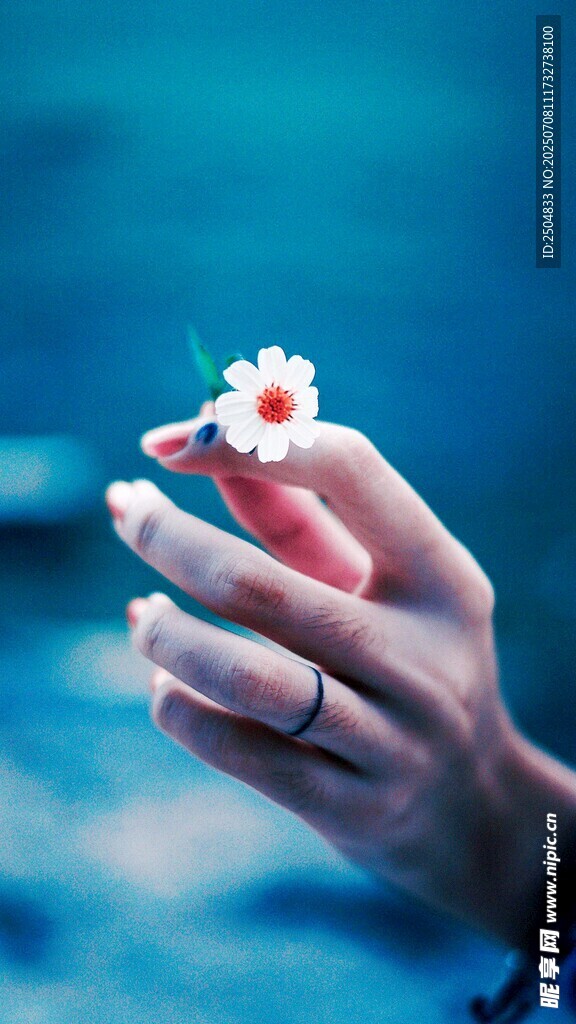 手托小花 尽显温柔美好
