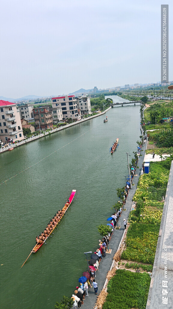 河岸龙舟竞渡热闹场景