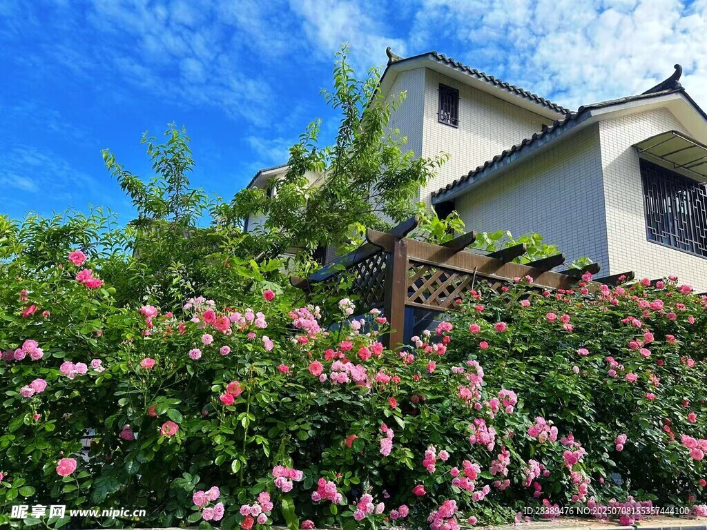 繁花簇拥的温馨住宅