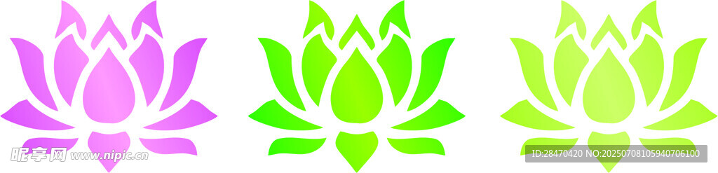 三色莲花图案