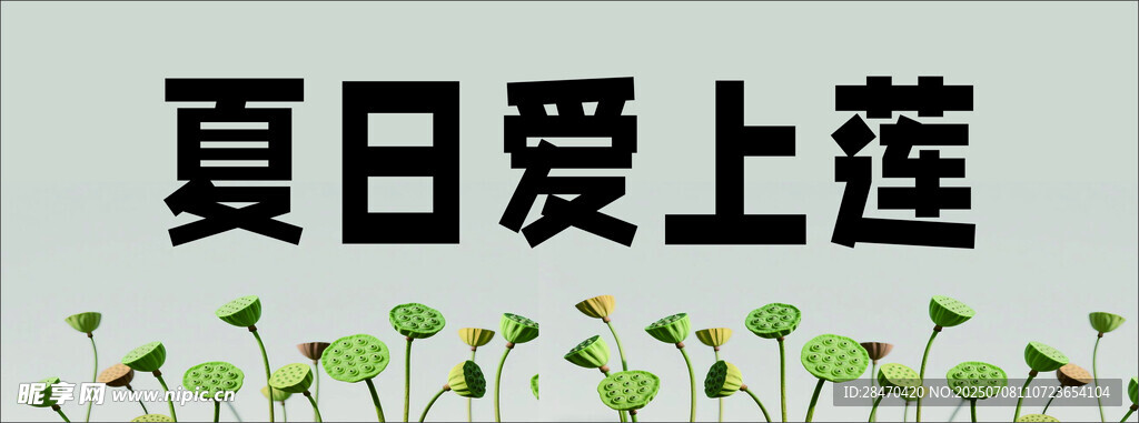 夏日爱上莲