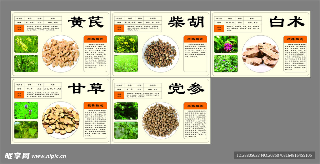 中药药材