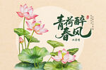 荷花插图