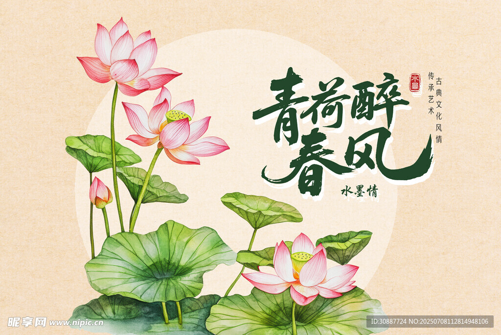 荷花插图