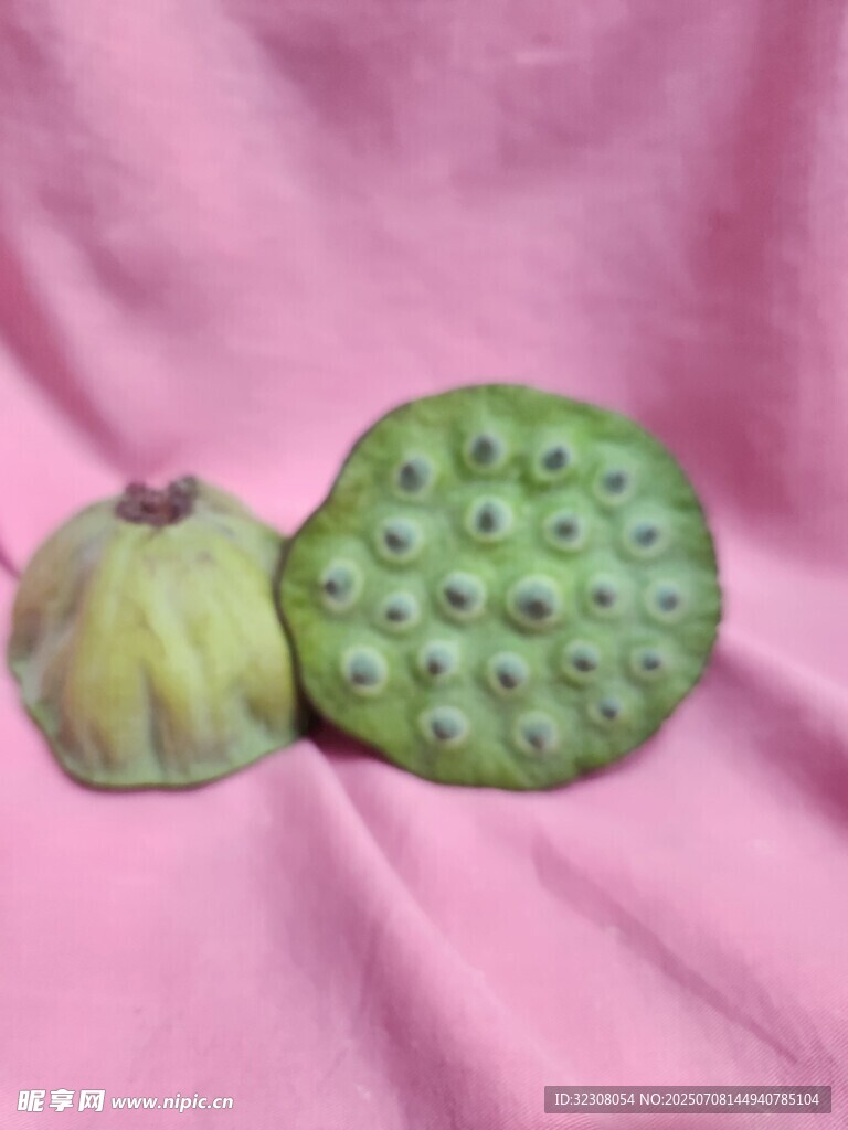 新鲜莲蓬 