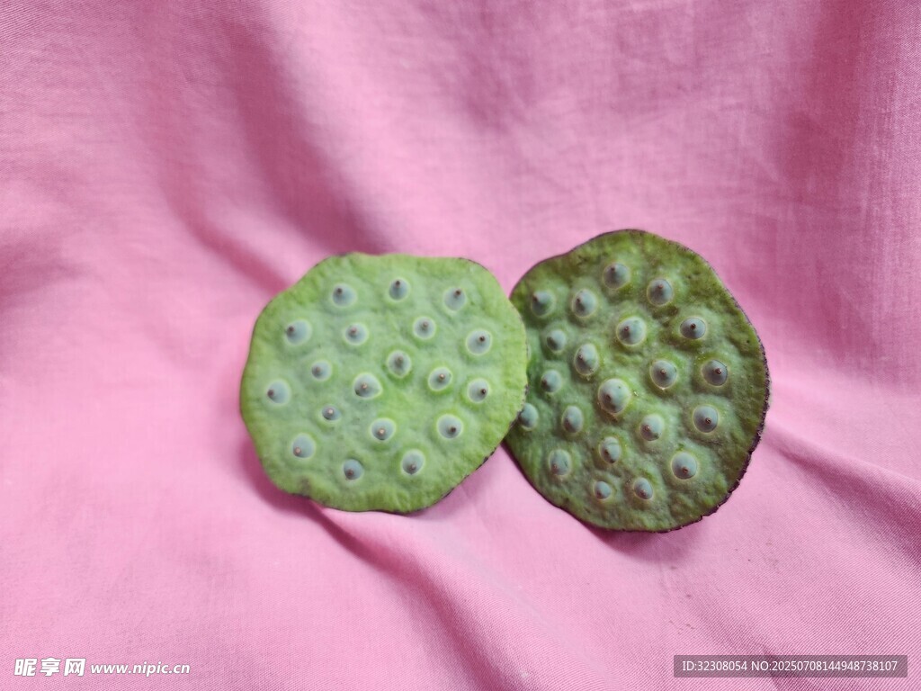 粉色背景上的两颗莲蓬