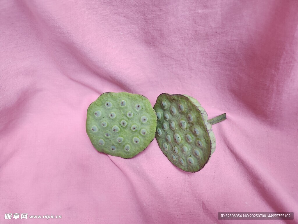 绿色纹理圆形物件展示