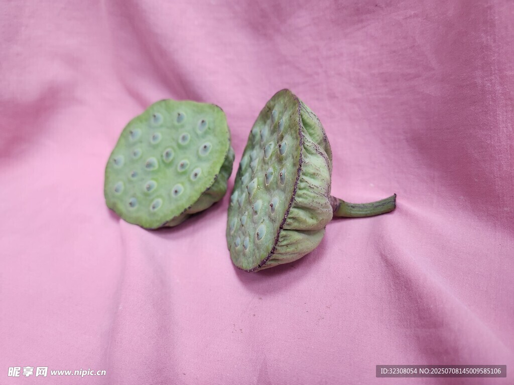 两片奇特花纹的干枯叶子