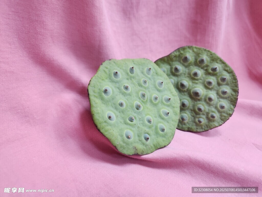 粉色背景上的两片莲蓬