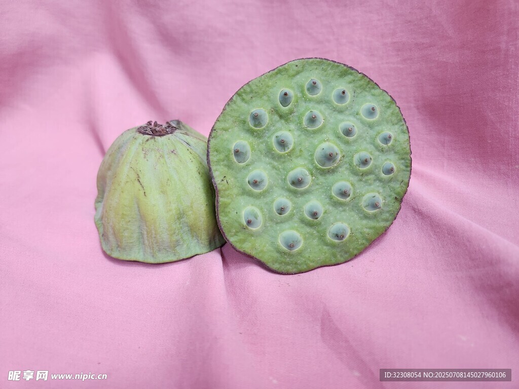 莲蓬与莲苞特写