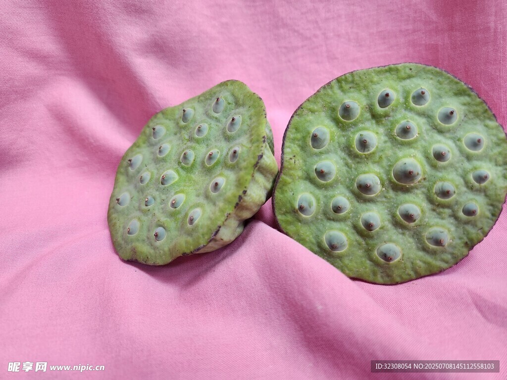 两颗奇特的绿色莲蓬