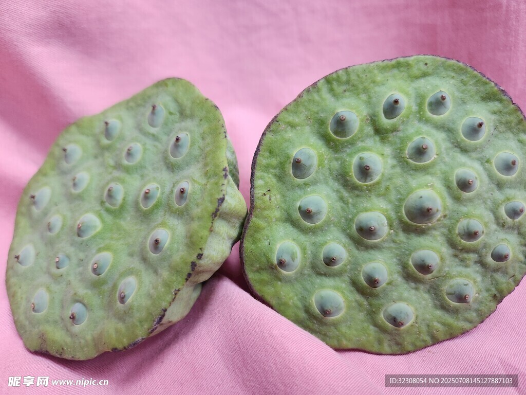 两颗绿色莲蓬特写